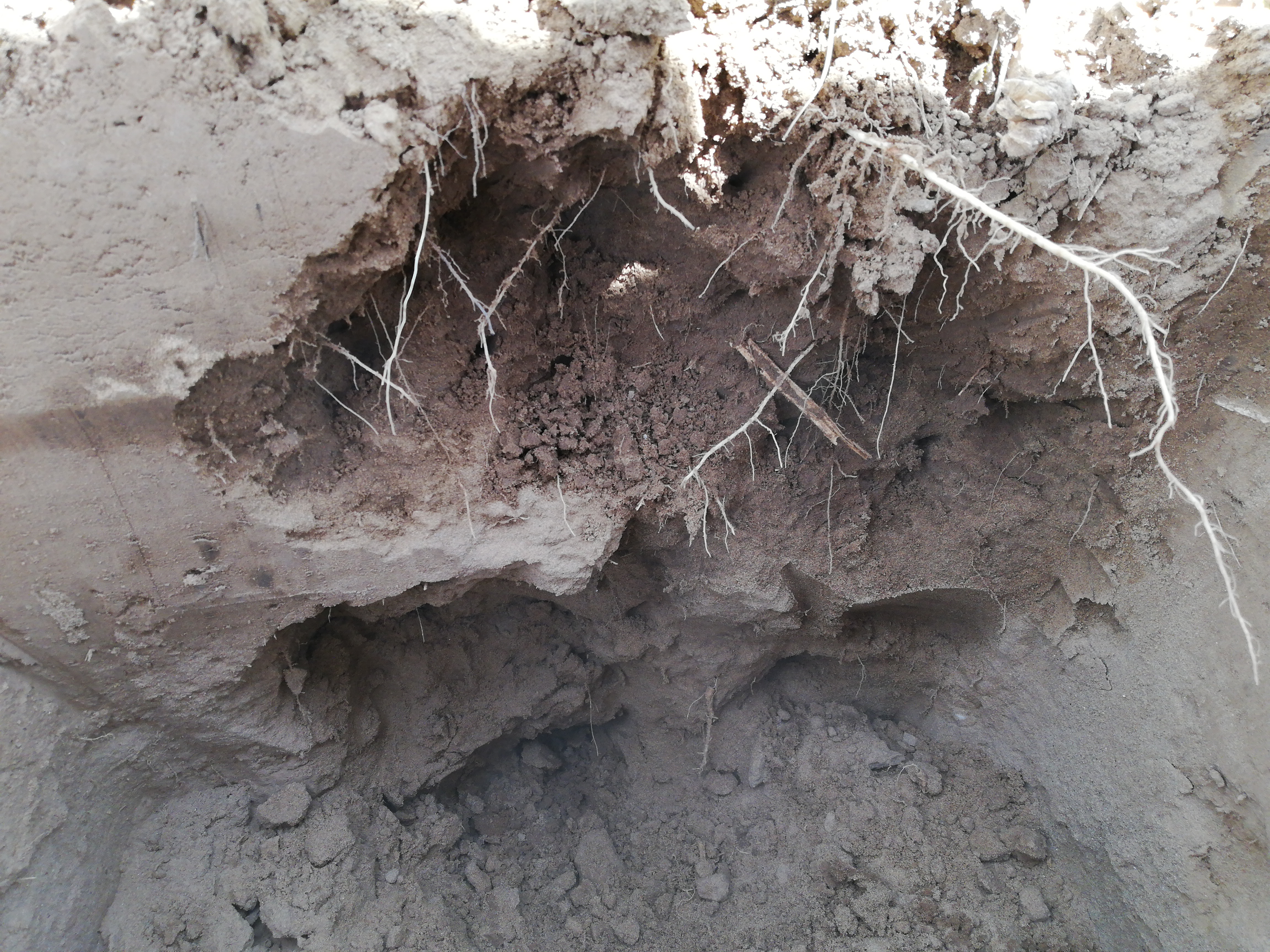 image of profile hole.